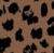 Chocolate Leopard