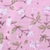 Dusty Rose Floral