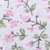 Soft Blush Floral